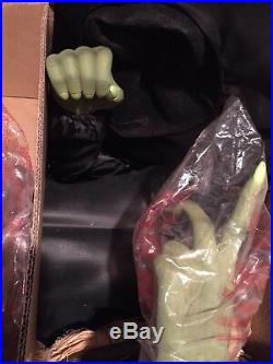 Wicked Witch Animatronic Gemmy Halloween Spirit Halloween! Rare Bnib